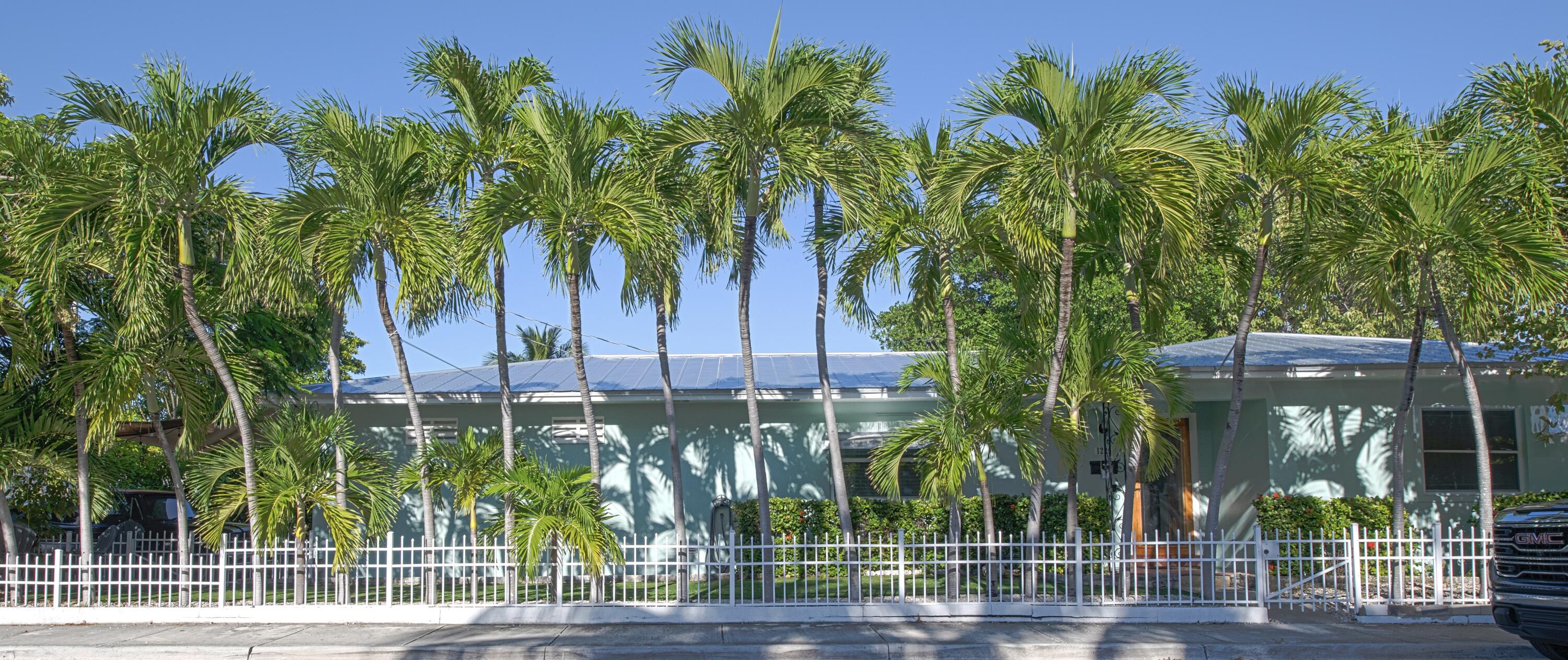 a view of a palm trees front of house with wooden fence