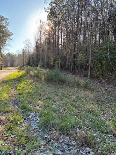 0 Horse Run Road Gloucester, VA 23061 - Photo 4 of 4