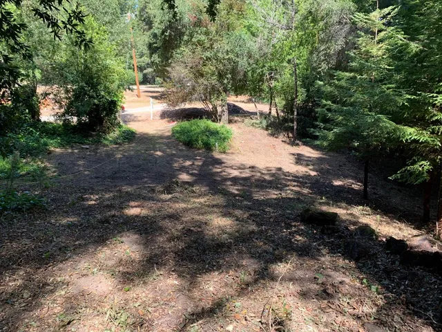 a view of backyard with green space