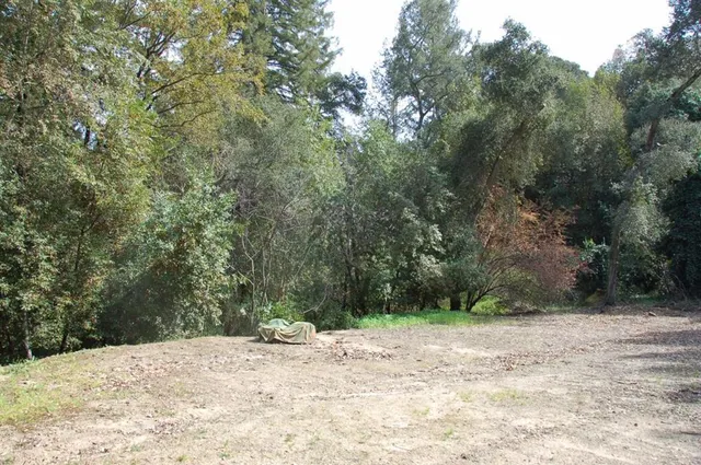 a view of road and trees