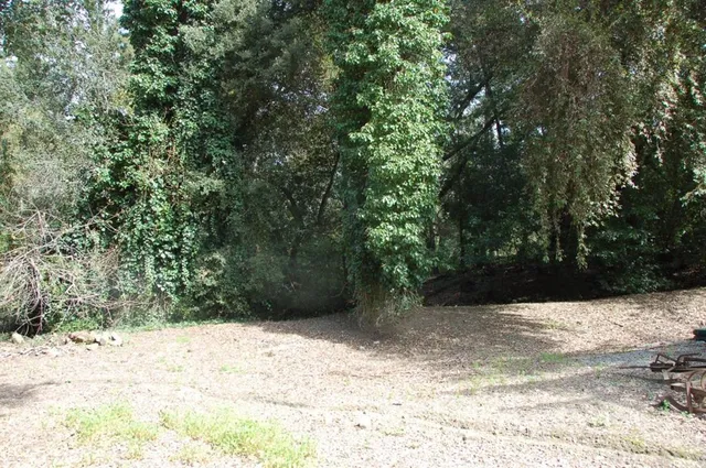 a view of wooden fence of a forest