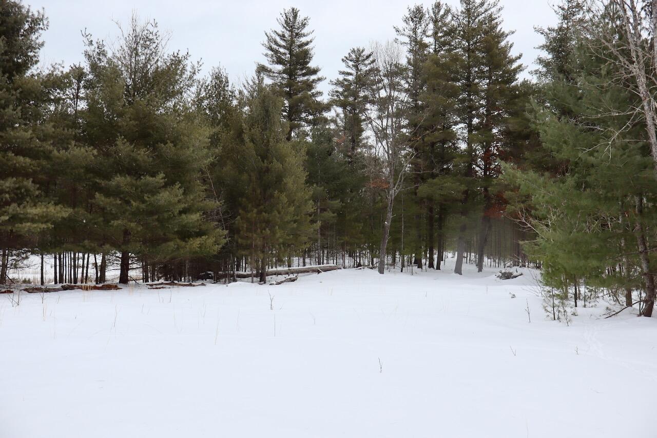 4440 Cherry Creek Road Lewiston, MI 49756 - Photo 11 of 58
