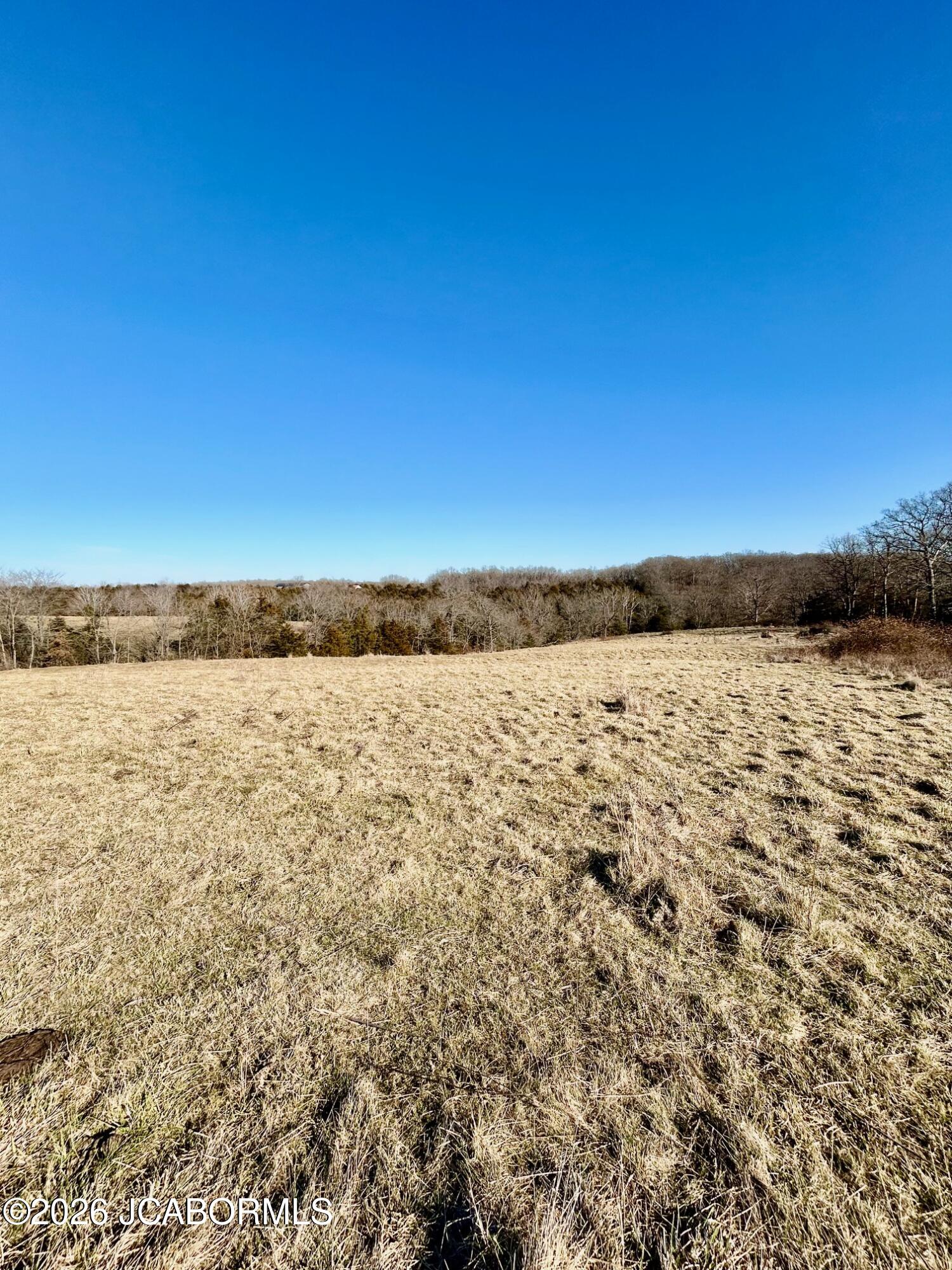 Tbd Mt Hope Road California, MO 65018 - Photo 1 of 3