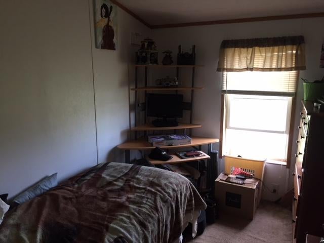 14909 Molineaux Road Wolverine, MI 49799 - Photo 6 of 17 Gallery Image 6