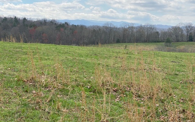 Ada Street Blue Ridge, GA 30513 - Photo 1 of 1 Main View