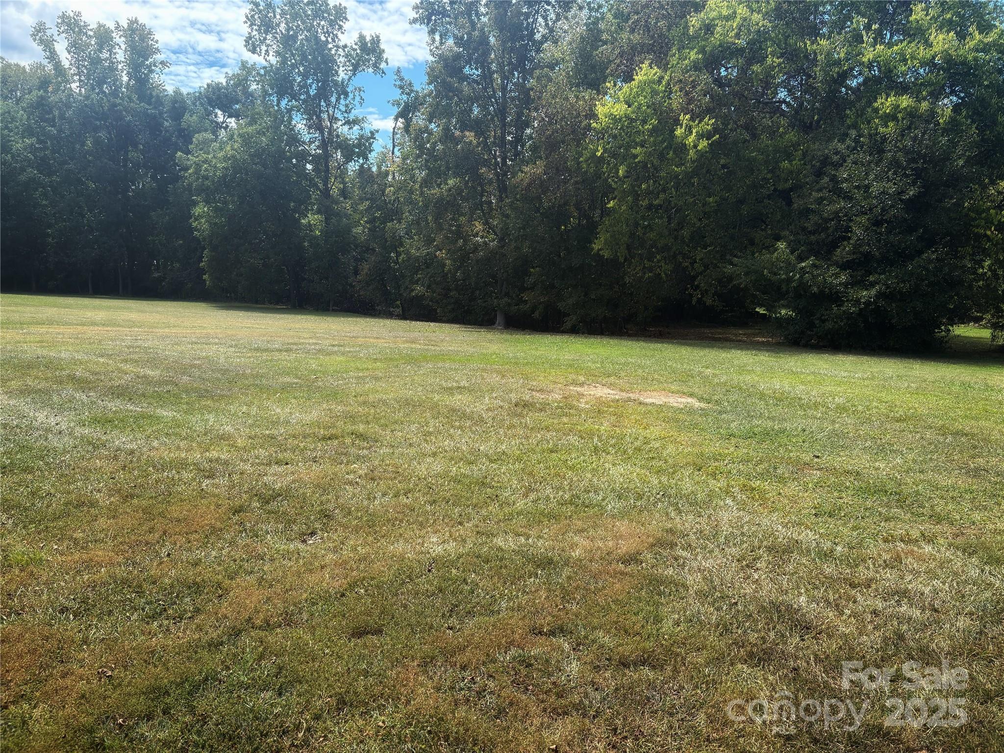 335 Plank Road Wadesboro, NC 28170 - Photo 14 of 14 a view of a yard with an outdoor space