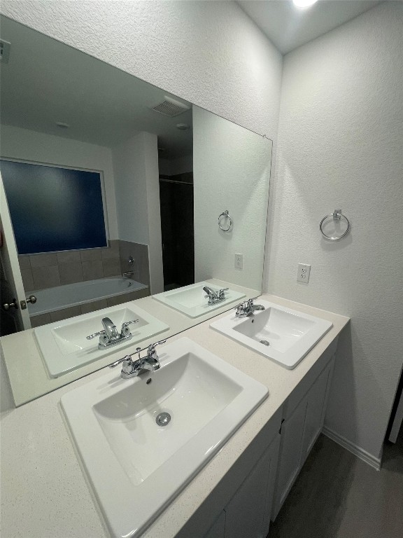 169 Sormonne Loop Kyle, TX 78640 - Photo 10 of 11 a bathroom with a sink and a mirror