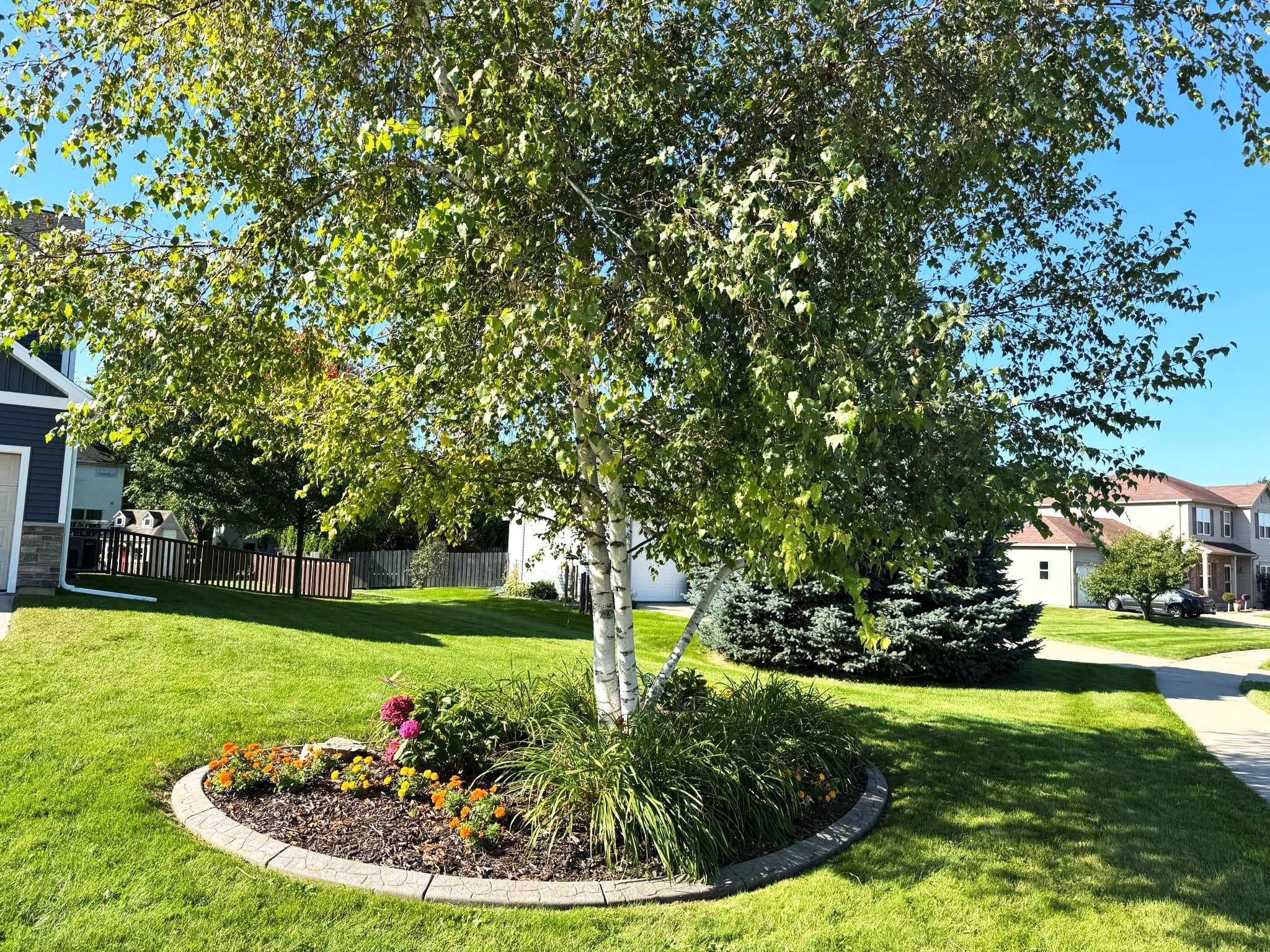 121 Prairie View Drive Beaver Dam, WI 53916 - Photo 14 of 62