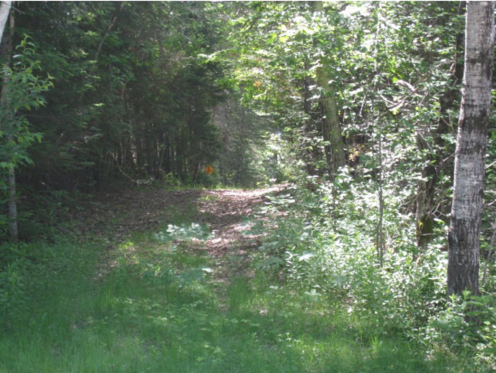 1083 Charleston Road Brighton, VT 05846 - Photo 19 of 26 Gallery Image 19