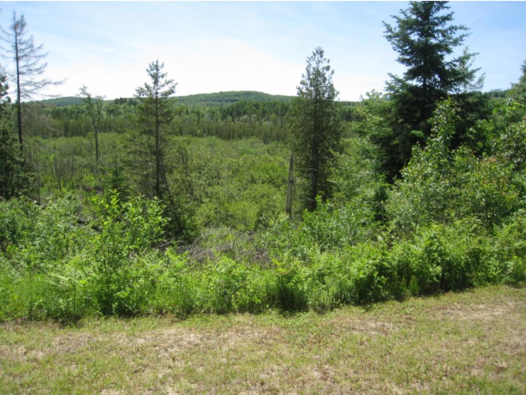 1083 Charleston Road Brighton, VT 05846 - Photo 21 of 26 Gallery Image 21