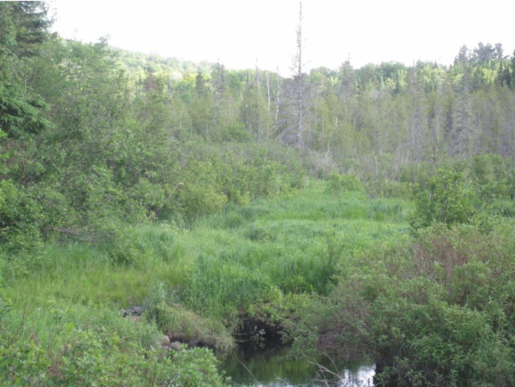 1083 Charleston Road Brighton, VT 05846 - Photo 22 of 26 Gallery Image 22