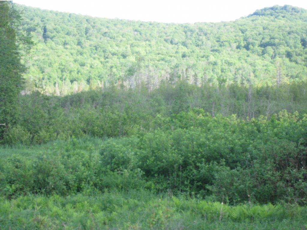 1083 Charleston Road Brighton, VT 05846 - Photo 25 of 26 Gallery Image 25