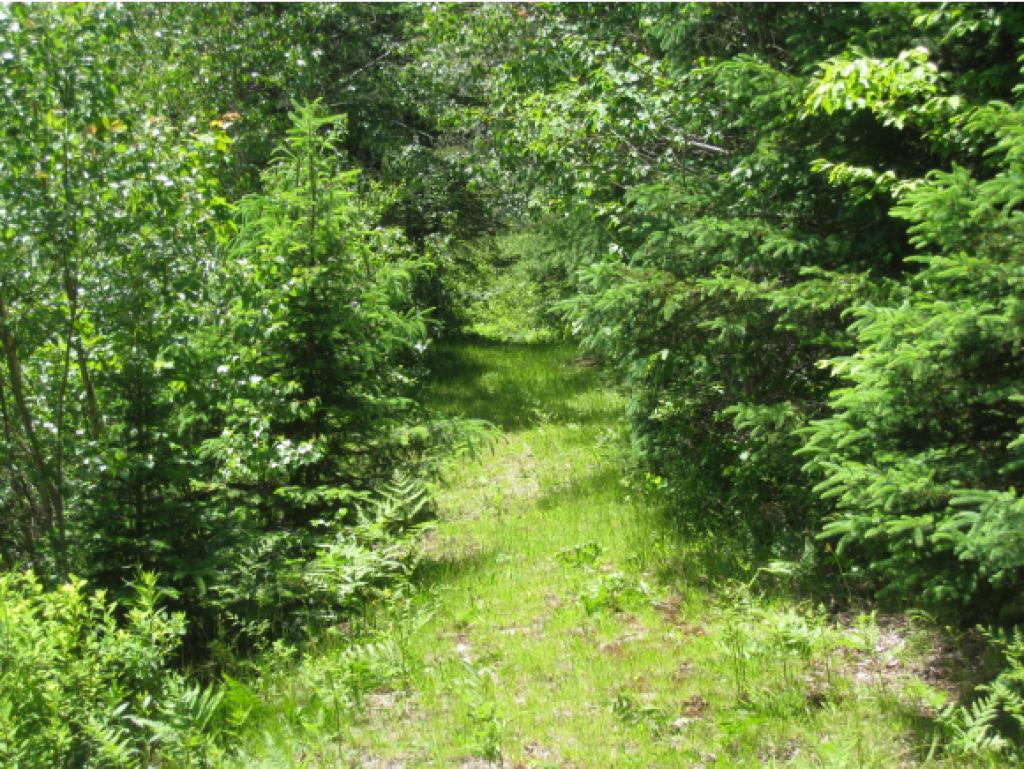 1083 Charleston Road Brighton, VT 05846 - Photo 26 of 26 Gallery Image 26