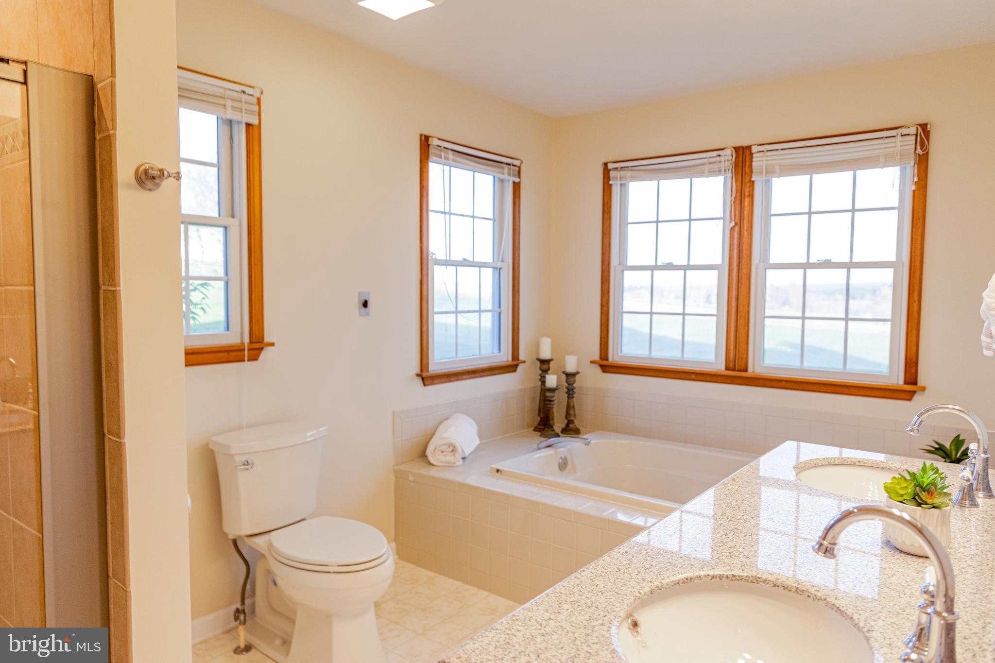 14211 Line Road New Freedom, PA 17349 - Photo 24 of 55 Primary bath