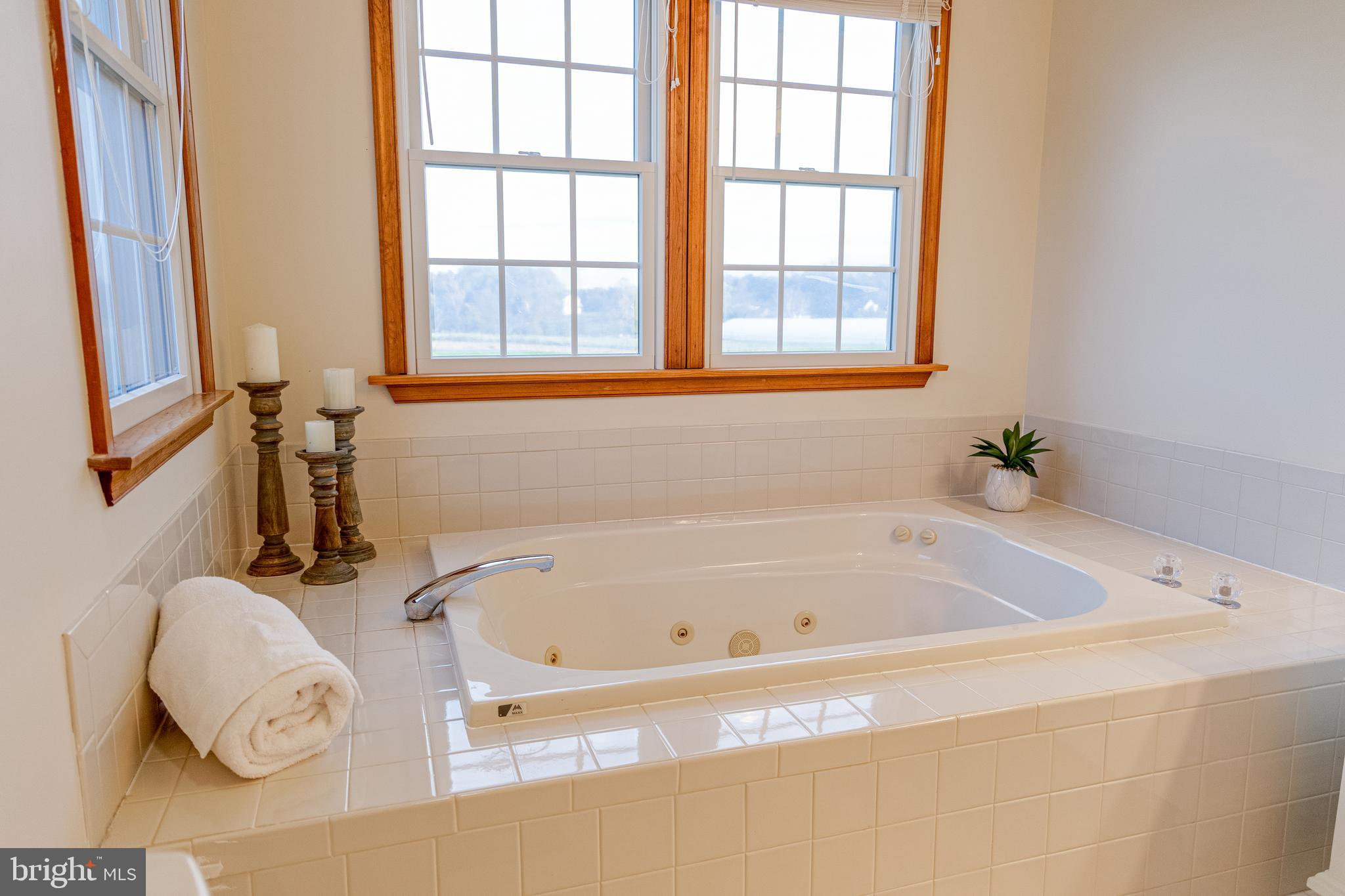 14211 Line Road New Freedom, PA 17349 - Photo 25 of 55 Primary bath