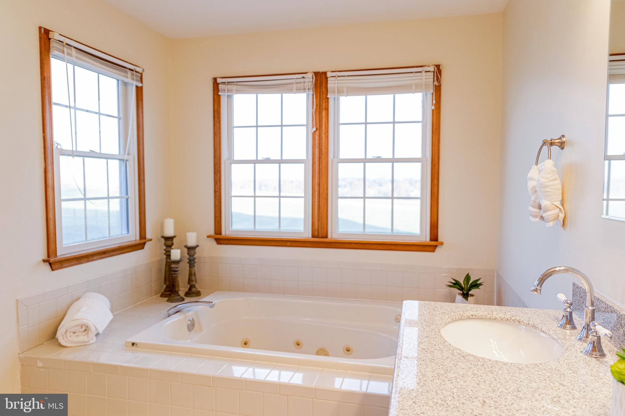14211 Line Road New Freedom, PA 17349 - Photo 26 of 55 Primary bath