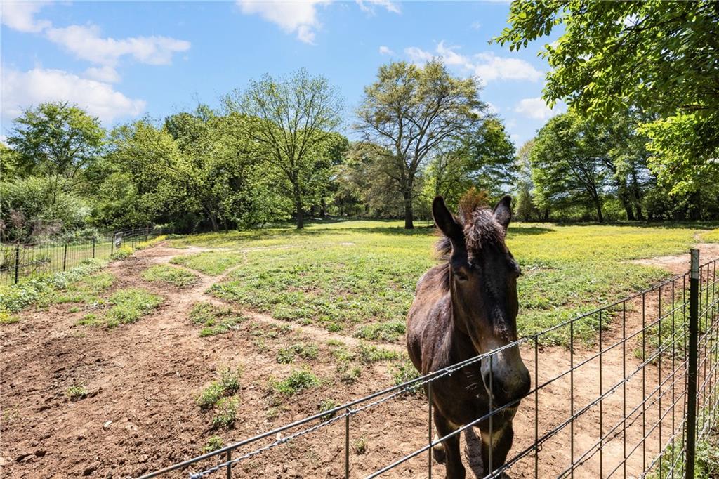 151 Ginn Street Carnesville, GA 30521 - Photo 25 of 39