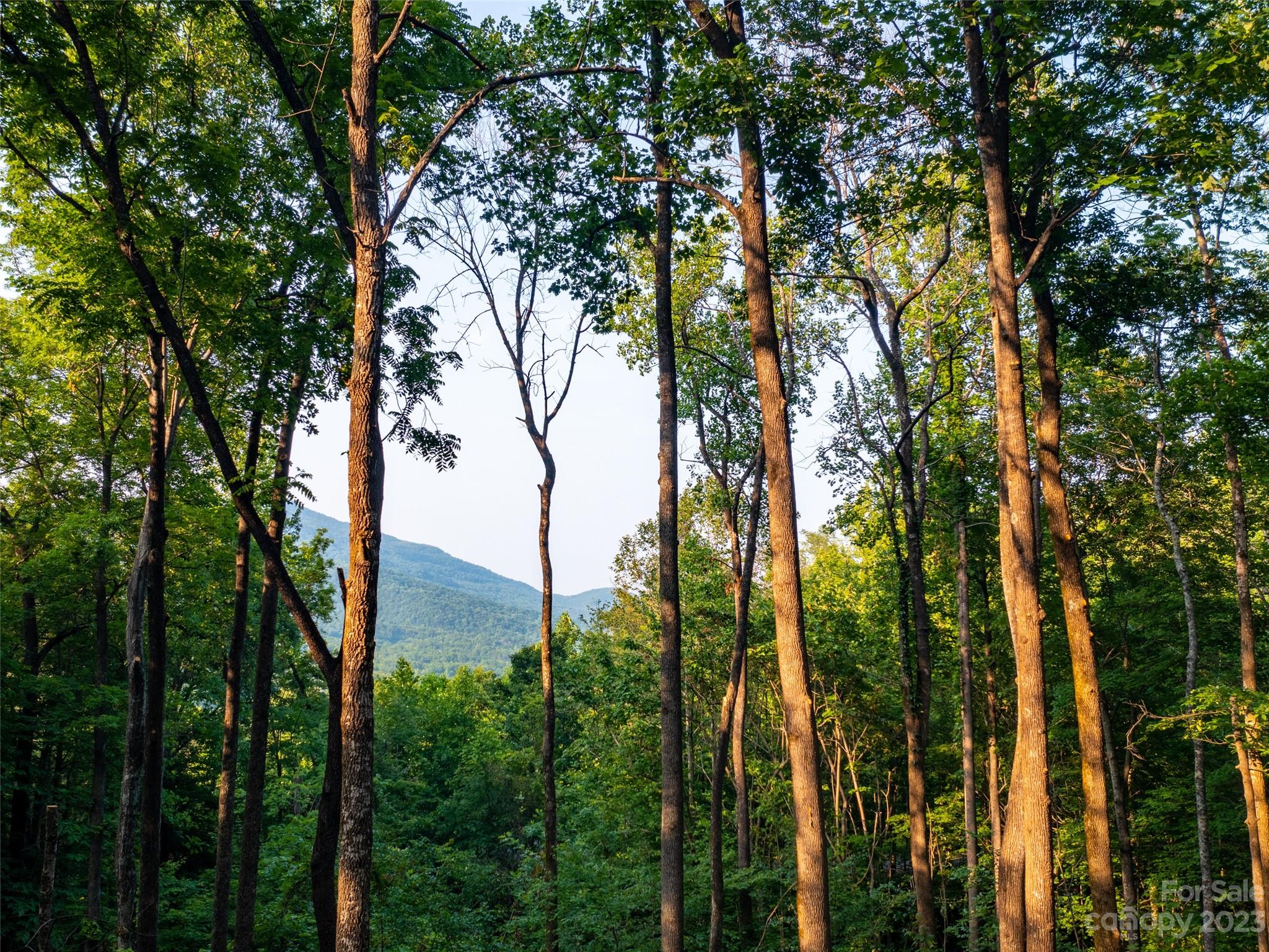2116 Harm Creek Loop Mill Spring Mill Spring, NC 28756 - Photo 4 of 6 a view of mountain view with lots of trees