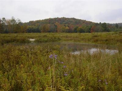 0 Glovers Corners Road Guilford, NY 13780 - Photo 1 of 1 Gallery Image 1