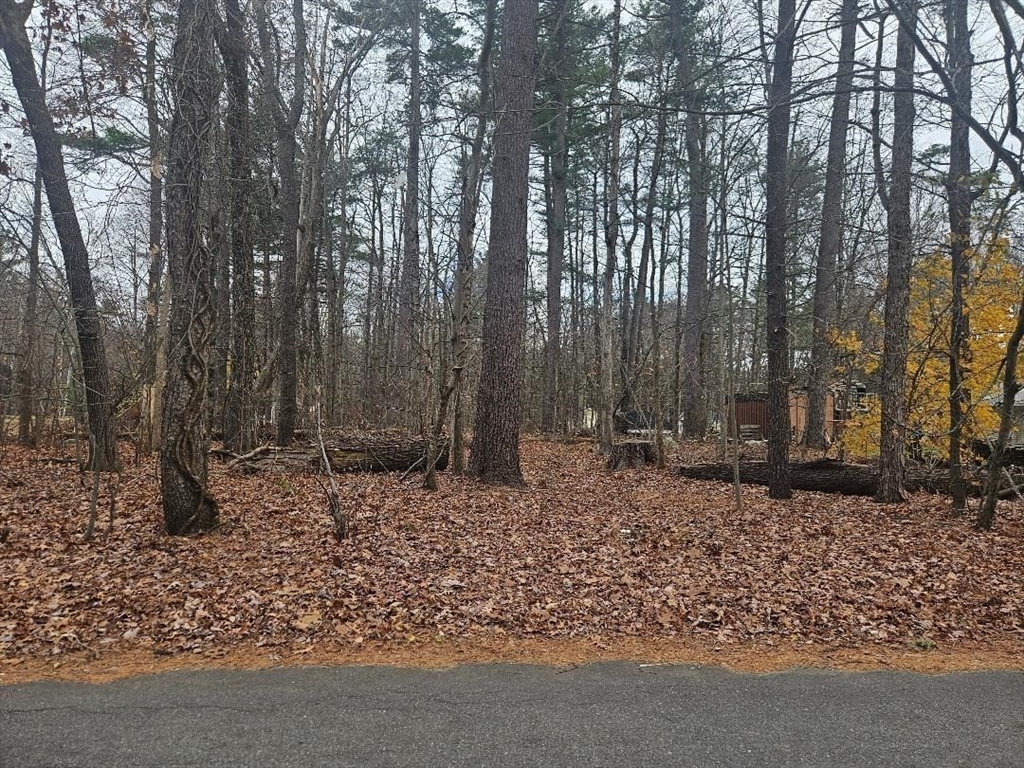 55 Beachview Road Lunenburg, MA 01462 - Photo 1 of 3 a backyard of a house with lots of green space