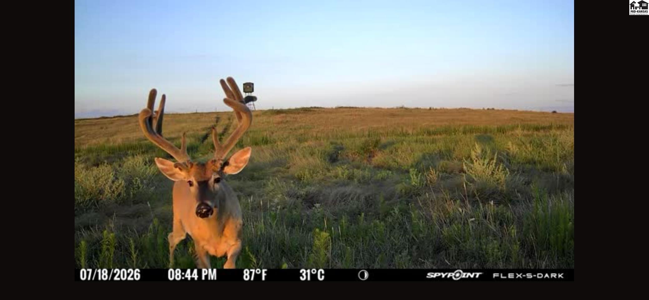 0 M Road Burdett, KS 67523 - Photo 29 of 50 Gallery Image 29