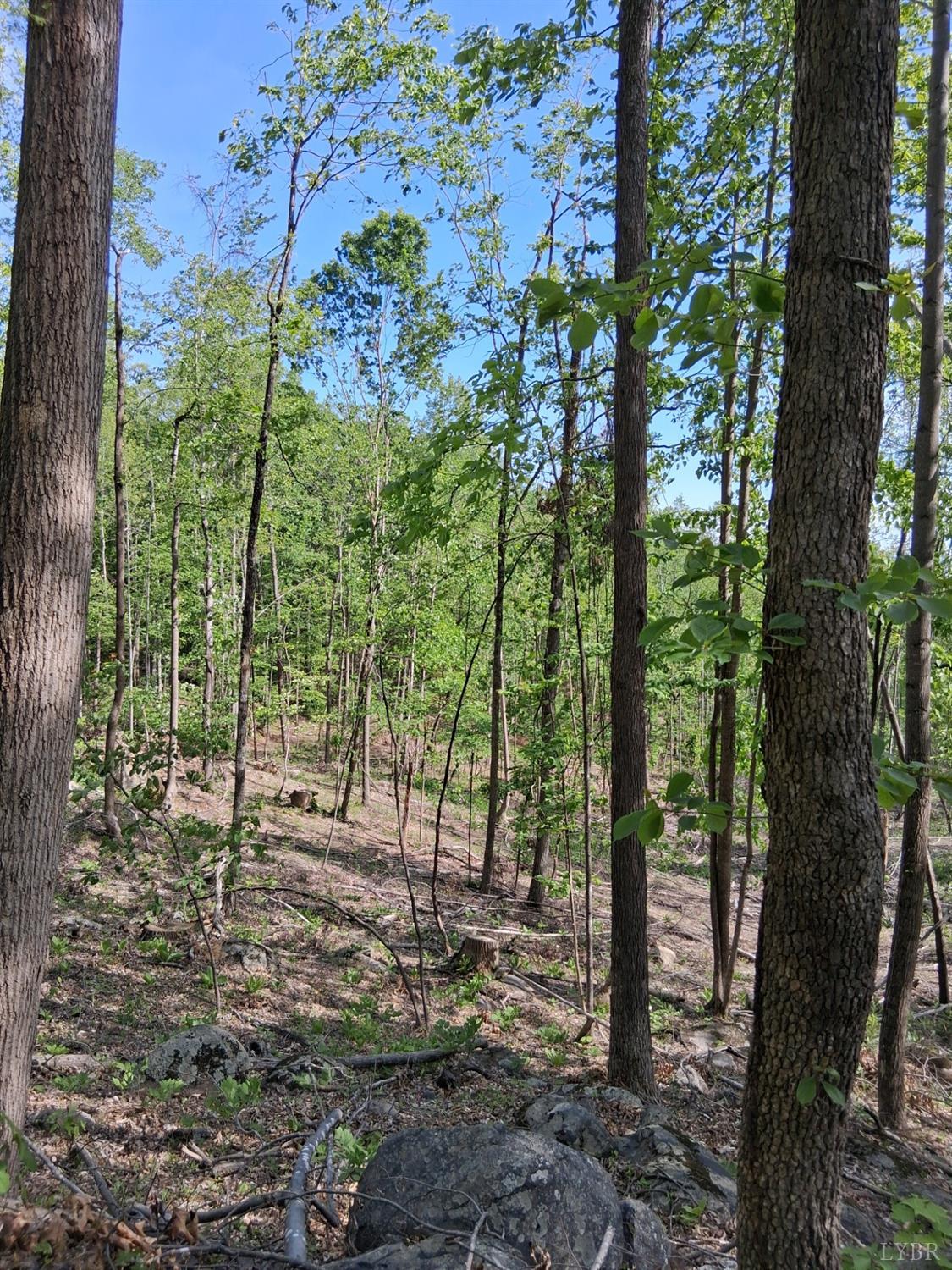 0 Robinson Gap Road Monroe, VA 24574 - Photo 33 of 44 Gallery Image 33