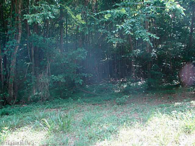 Off Farmington Road Mocksville, NC 27028 - Photo 11 of 11 Land.