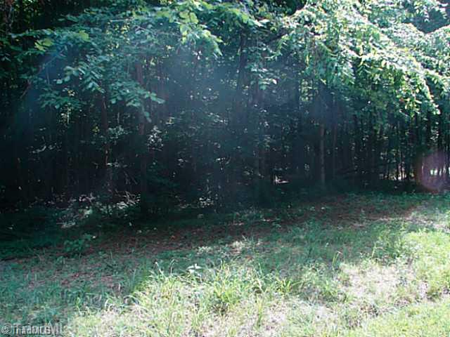 Off Farmington Road Mocksville, NC 27028 - Photo 10 of 11 Land.