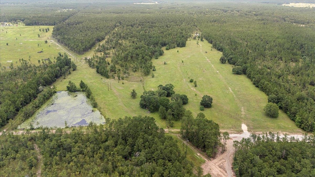 Ooo Horseshoe Road Kountze, TX 77625 - Photo 14 of 17