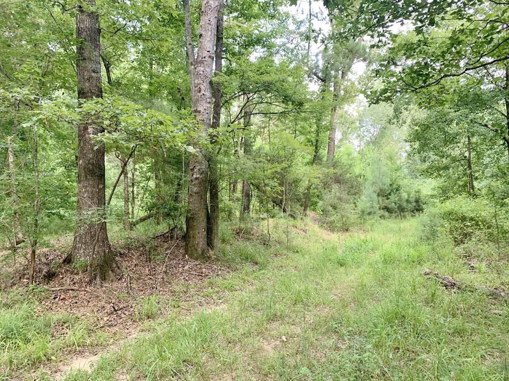 3000 Stonington Road Lorman, MS 39096 - Photo 28 of 38 Photo 28