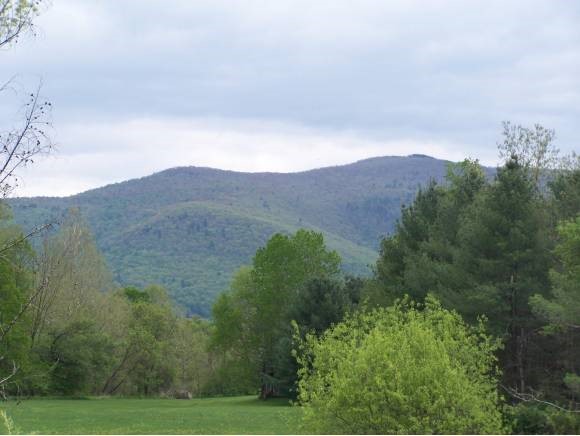5226 River Road Arlington, VT 05250 - Photo 19 of 24 Gallery Image 19