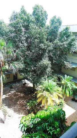 a backyard of a house with a yard with outdoor seating