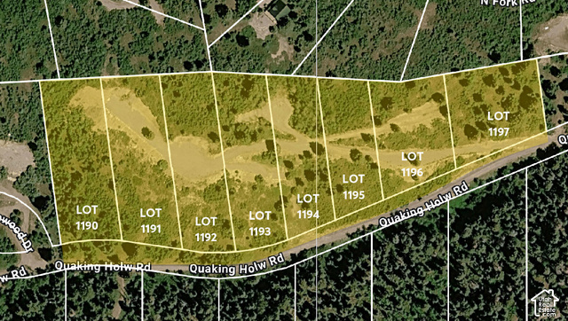 1197 East Quaking Hollow Road, Unit 1197 Mount Pleasant, UT 84647 - Photo 38 of 39 Lot 1190 and Lot 1194 each have small natural springs on it. No specific water rights are in place.