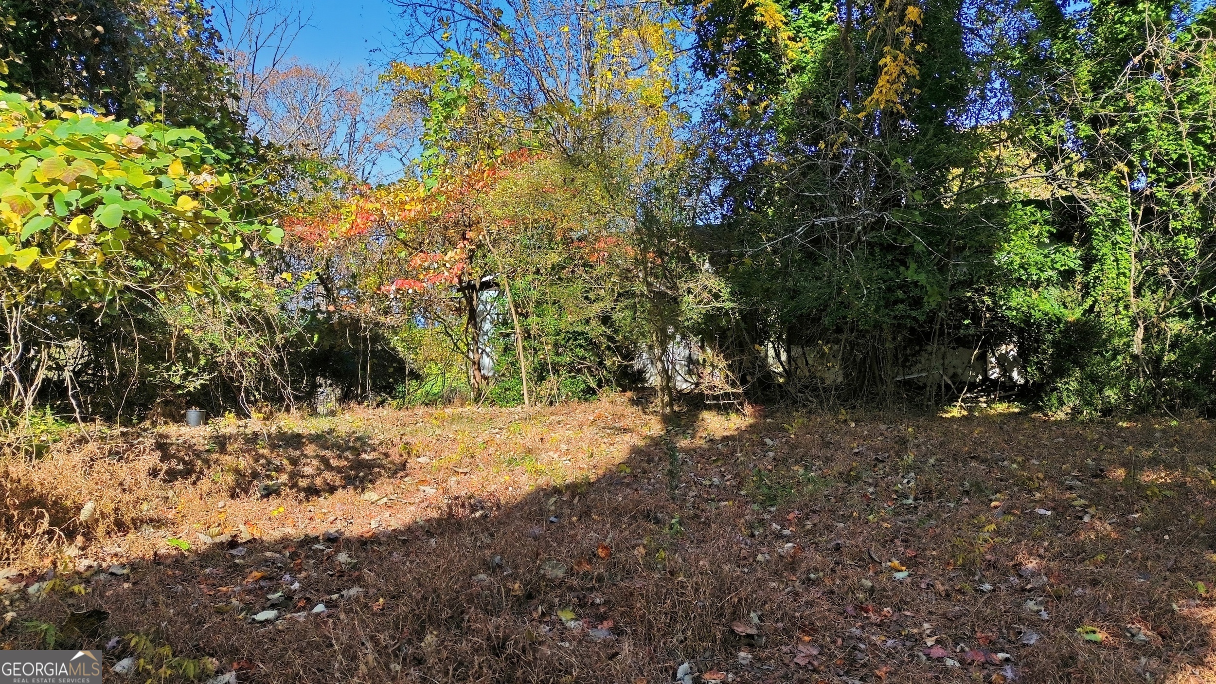 133 Blue Ridge Avenue Demorest, GA 30535 - Photo 9 of 18