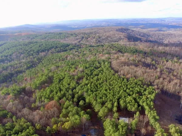 $195,000 | 0 Topside Drive, Spencer, TN 38585