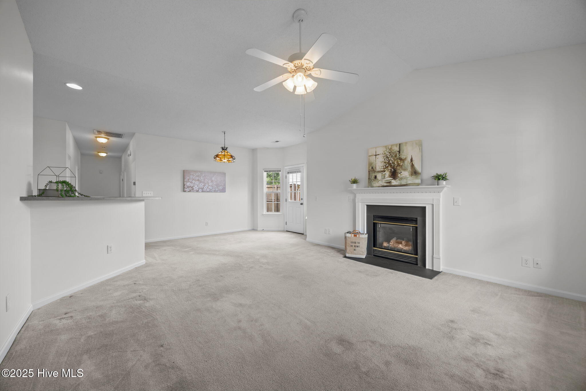 281 Lake Road Greenville, NC 27834 - Photo 4 of 48 19-web-or-mls-IMG_8587