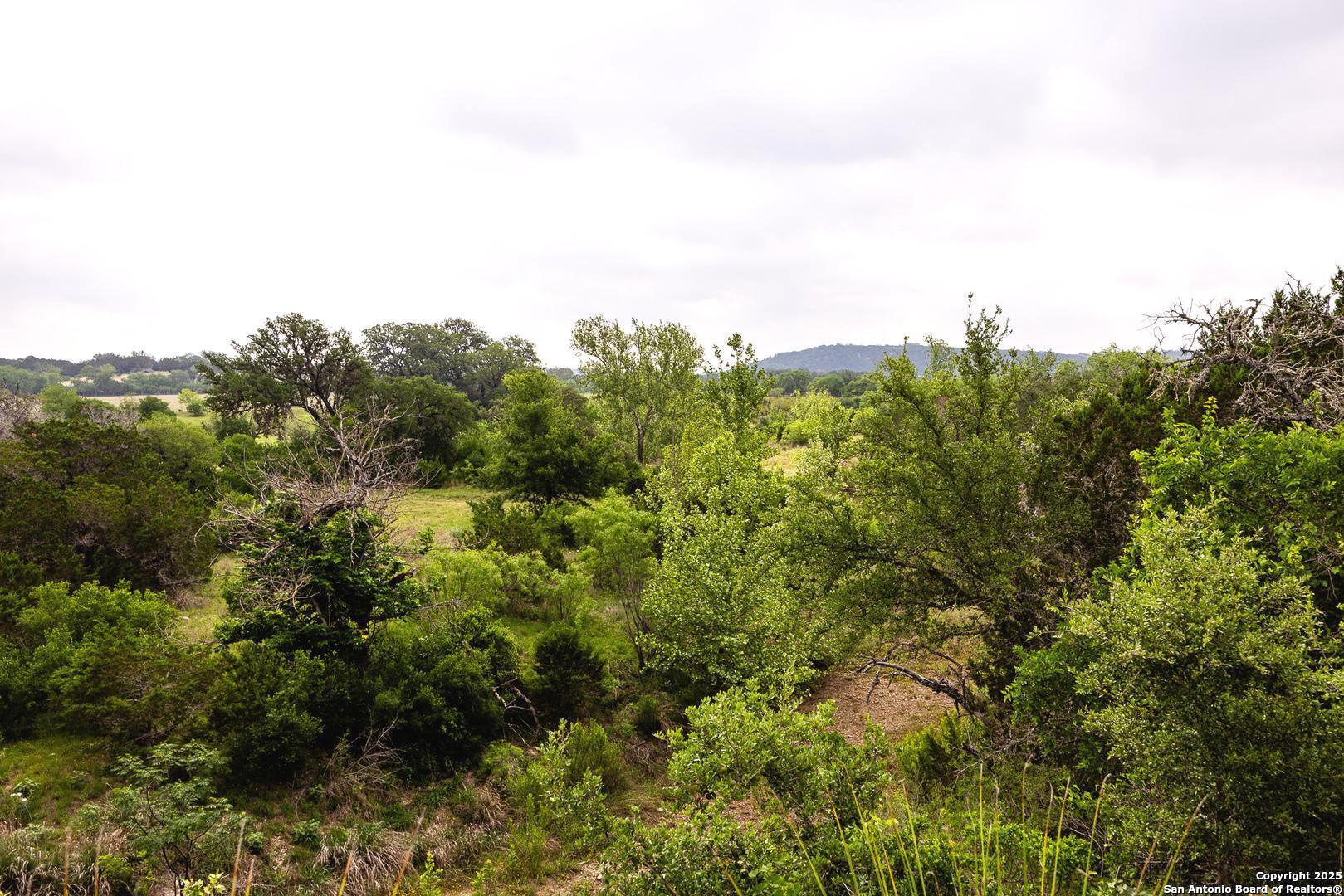 1897 Kyle Ranch Road Bandera, TX 78003 - Photo 24 of 48 a view of a bunch of trees