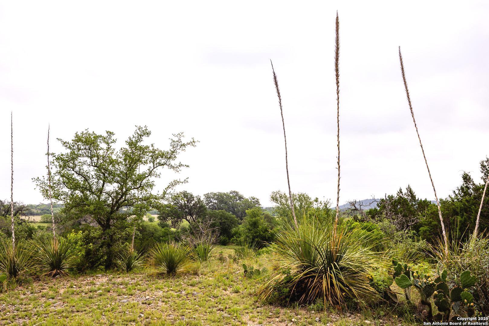 1897 Kyle Ranch Road Bandera, TX 78003 - Photo 26 of 48 a view of a lake