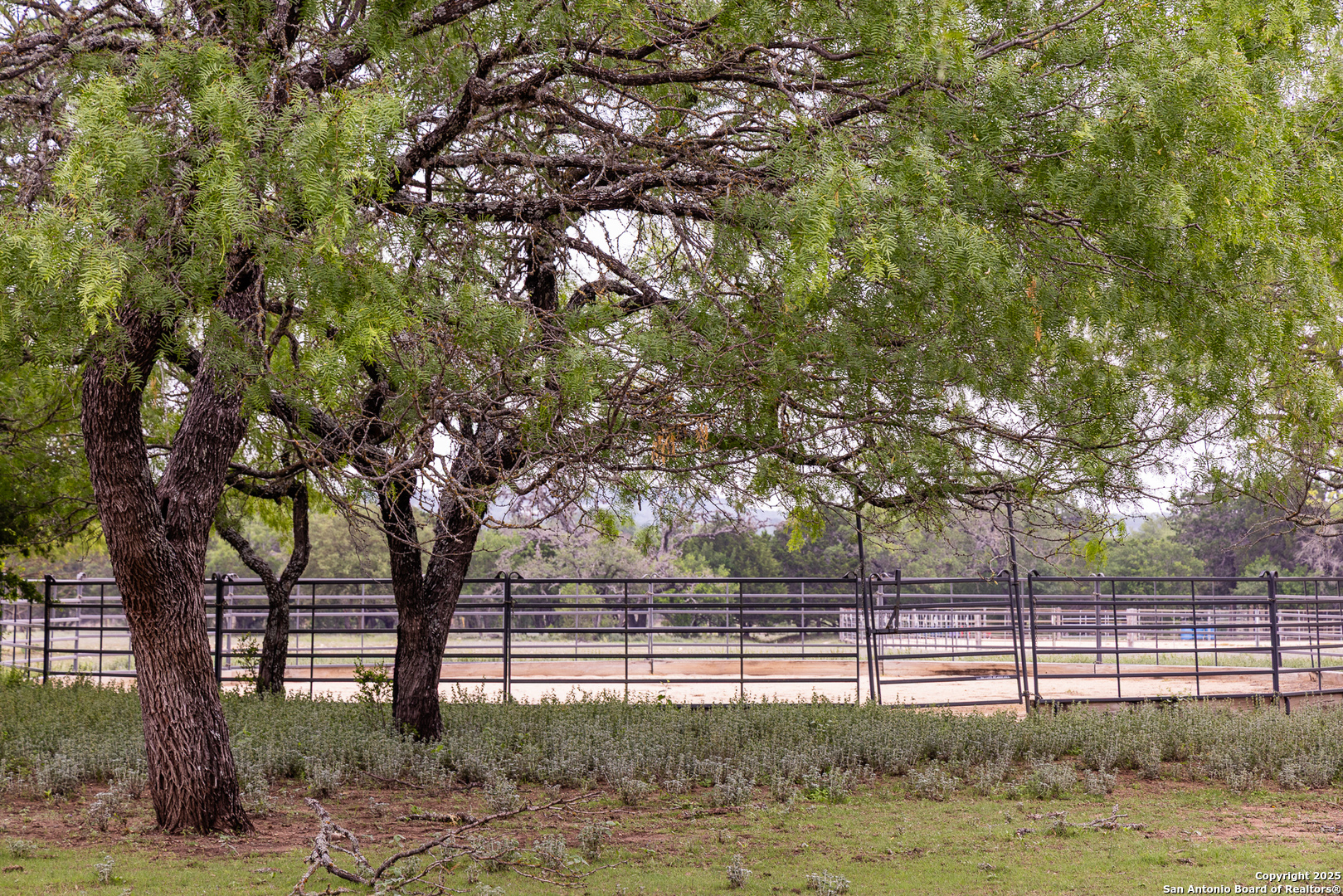 1897 Kyle Ranch Road Bandera, TX 78003 - Photo 33 of 48 a view of backyard with green space