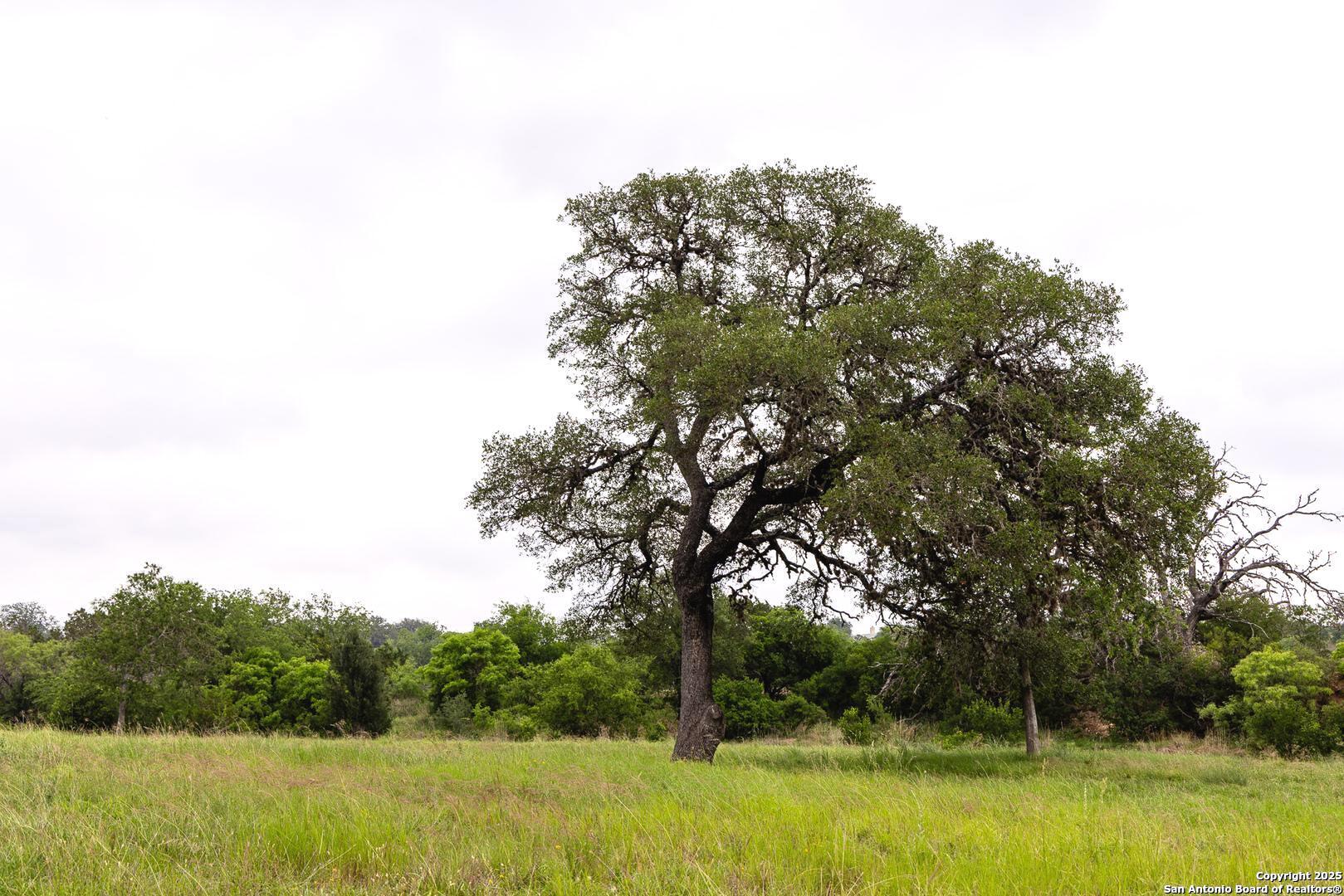 1897 Kyle Ranch Road Bandera, TX 78003 - Photo 36 of 48 a view of a yard with an outdoor space