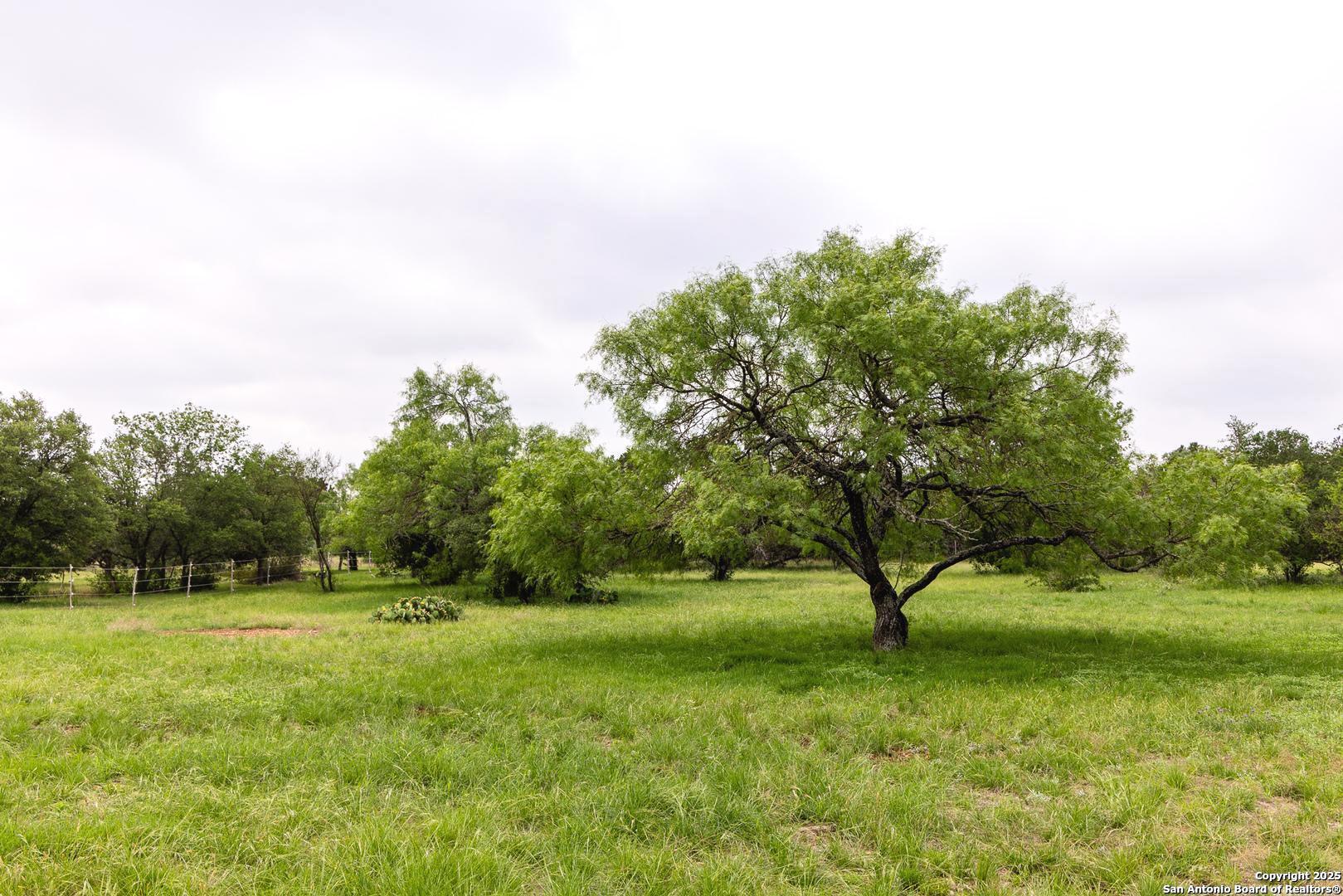 1897 Kyle Ranch Road Bandera, TX 78003 - Photo 38 of 48 a view of grassy field with trees