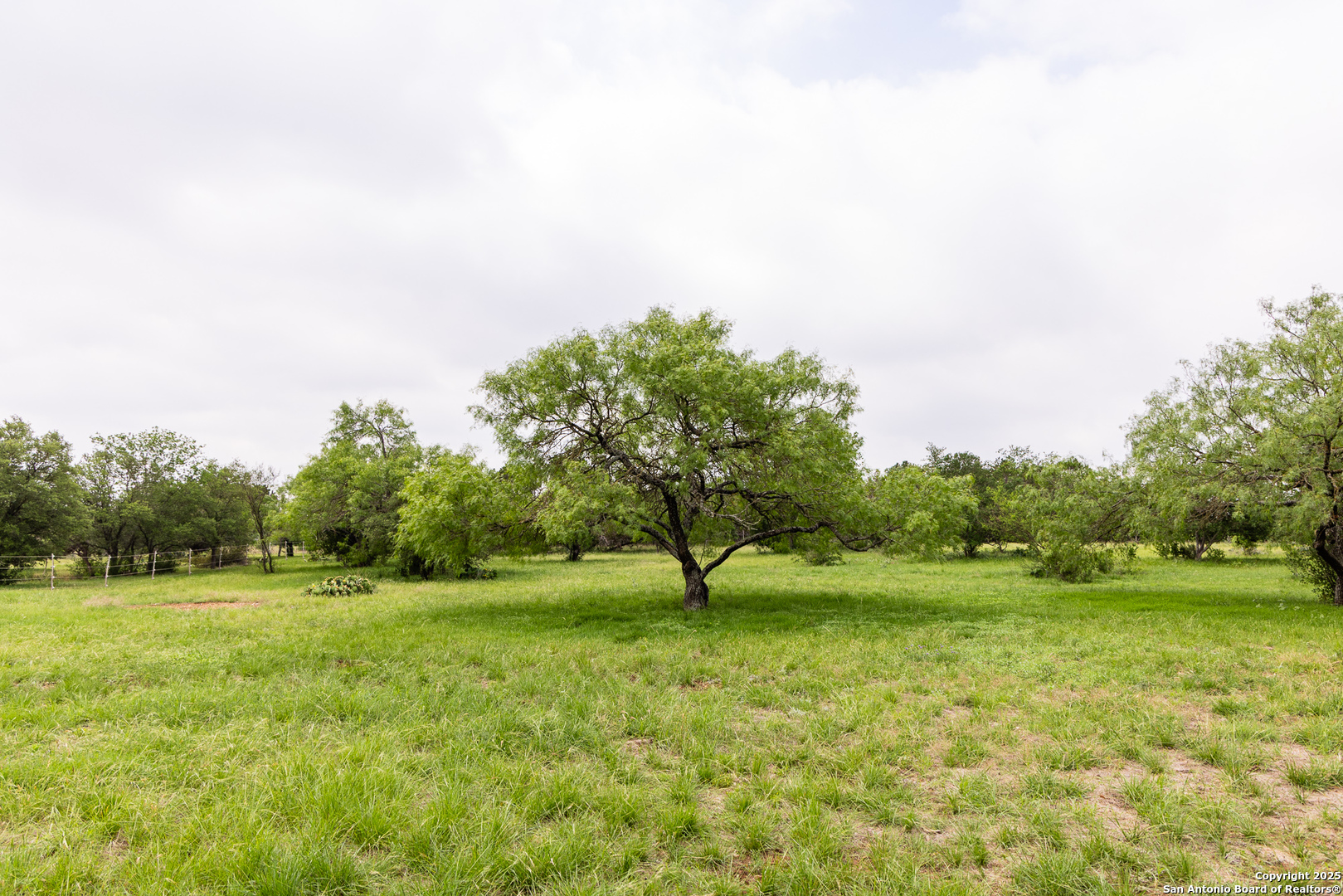 1897 Kyle Ranch Road Bandera, TX 78003 - Photo 39 of 48 a view of a grassy field with trees