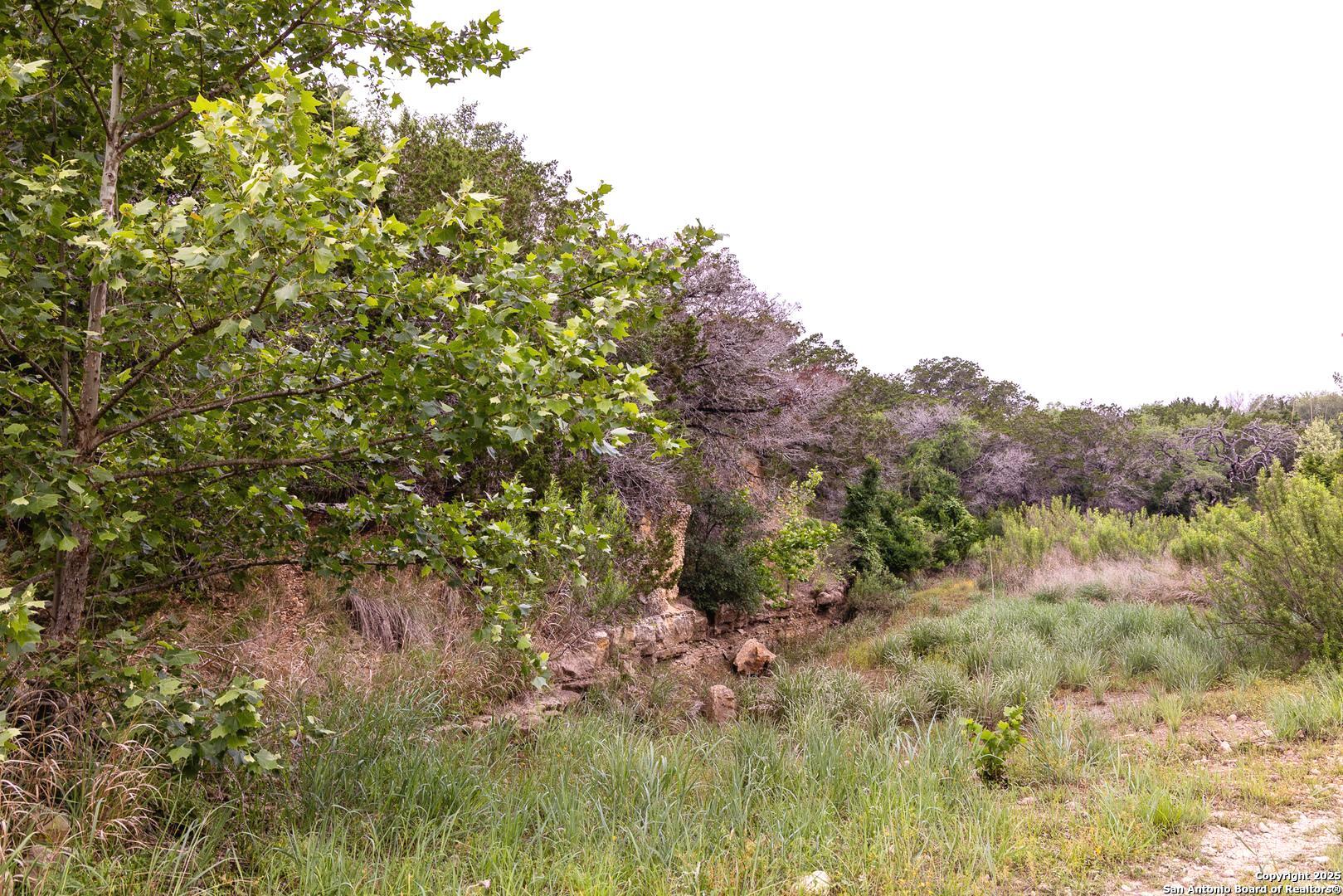 1897 Kyle Ranch Road Bandera, TX 78003 - Photo 40 of 48 a view of a lush green forest with lawn chairs