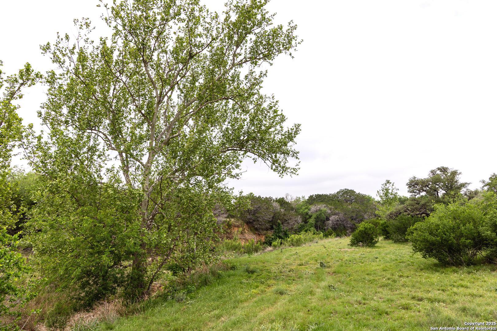 1897 Kyle Ranch Road Bandera, TX 78003 - Photo 42 of 48 a view of a mountain range with trees in the background