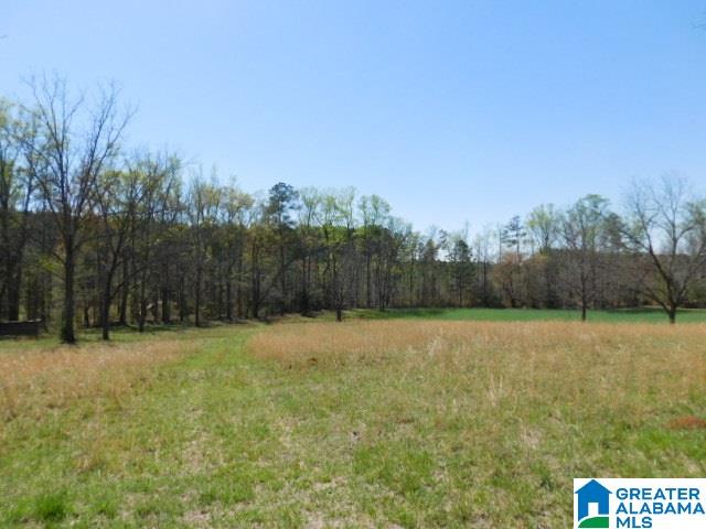 207 County Road 613 Wedowee, AL 36278 - Photo 10 of 11