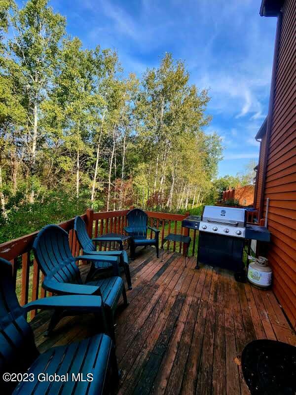 18 Freebern Road, Unit B Johnsburg, NY 12853 - Photo 19 of 37 20230928_093532