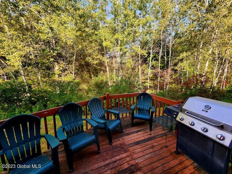 18 Freebern Road, Unit B Johnsburg, NY 12853 - Photo 20 of 37 20230928_093543(1)