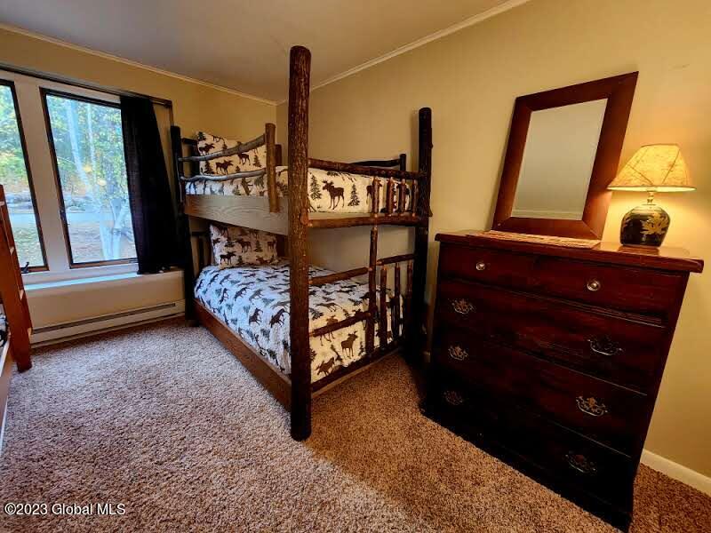 18 Freebern Road, Unit B Johnsburg, NY 12853 - Photo 31 of 37 20231016_102839