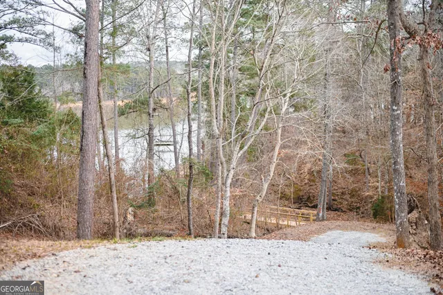 a view of a covered with snow in the forest