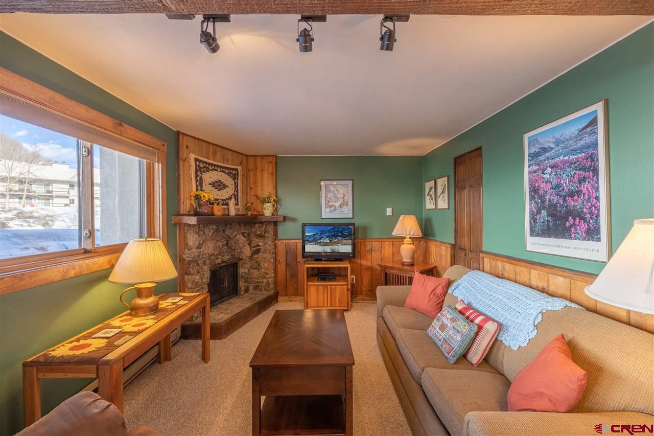 701 Gothic Road, Unit 138 Crested Butte, CO 81225 - Photo 3 of 27
